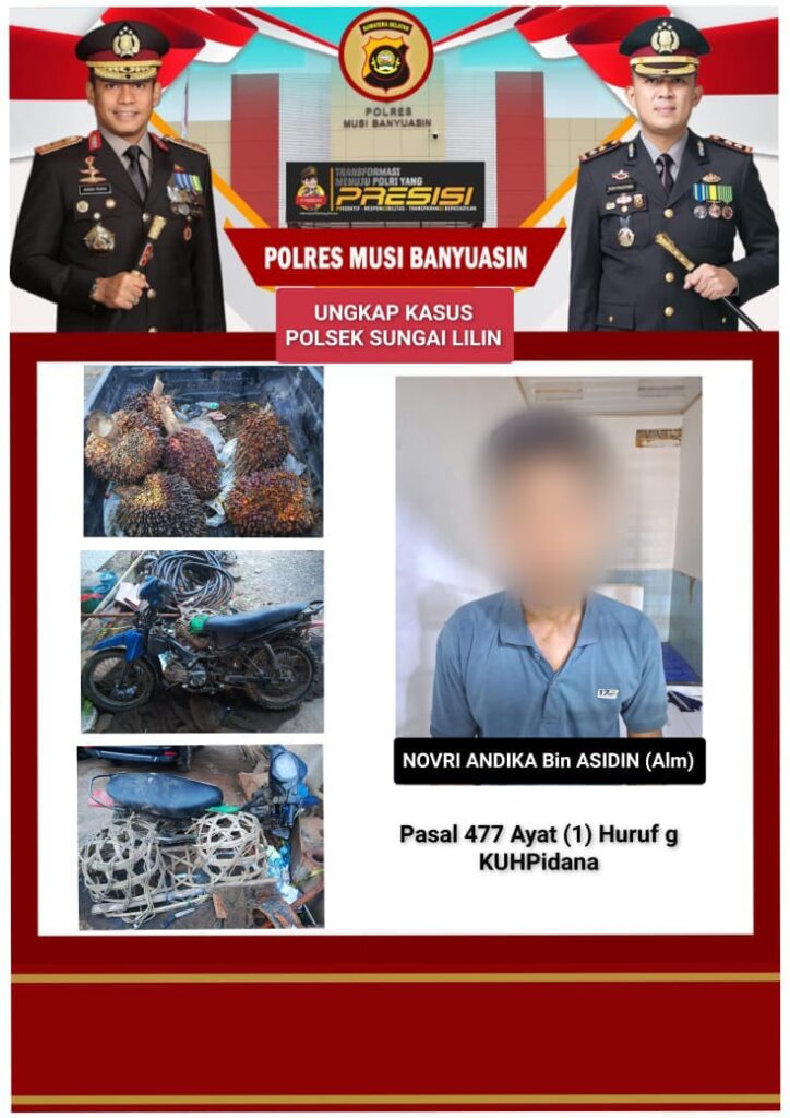 Curi Buah Sawit Perusahaan, Pelaku di Amankan Polsek Sungai Lilin