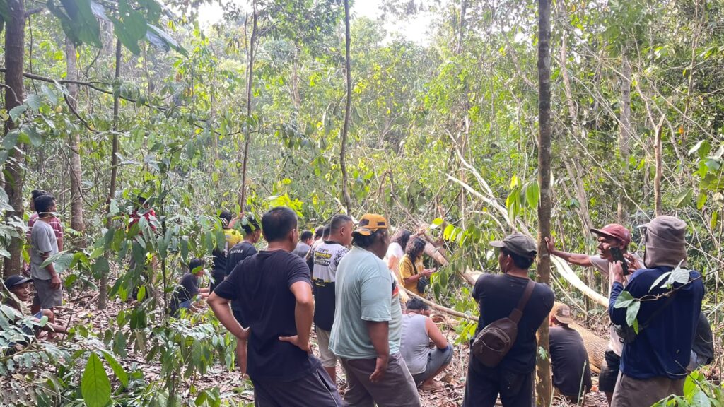 PENEMUAN TENGKORAK DAN SEJUMLAH TULANG DI DESA SINDANG MARGA KEC. BAYUNG LENCIR