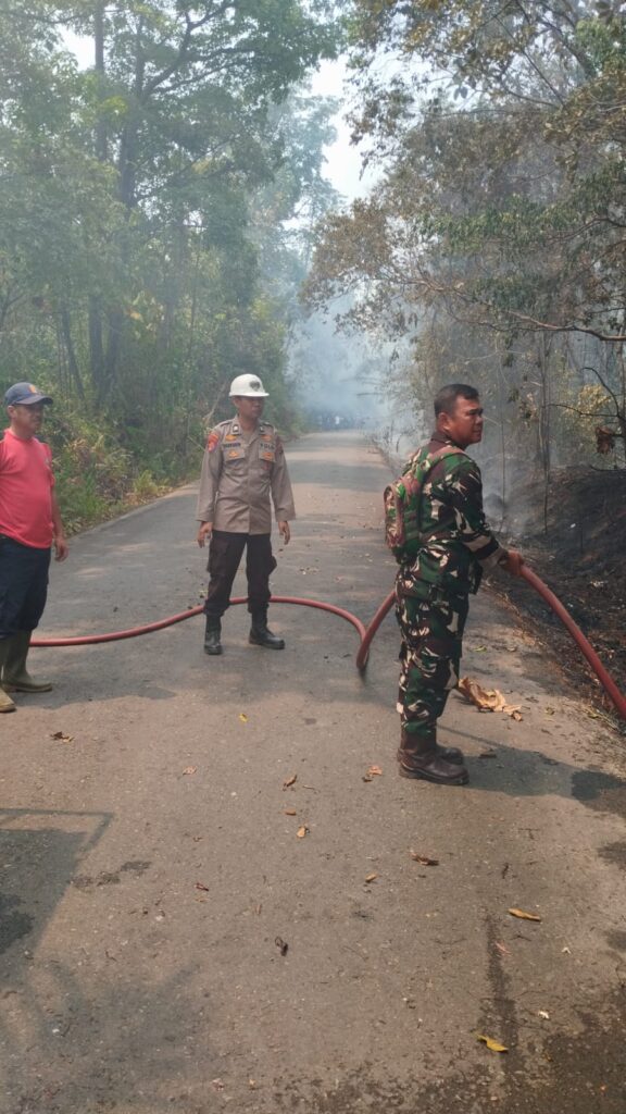 KAPOLSEK SUNGAI KERUH BERSAMA UNSUR GABUNGAN MELAKSANAKAN PEMADAMAN KARHUTLA KAPOLSEK SUNGAI KERUH BERSAMA UNSUR GABUNGAN MELAKSANAKAN PEMADAMAN KARHUTLA
