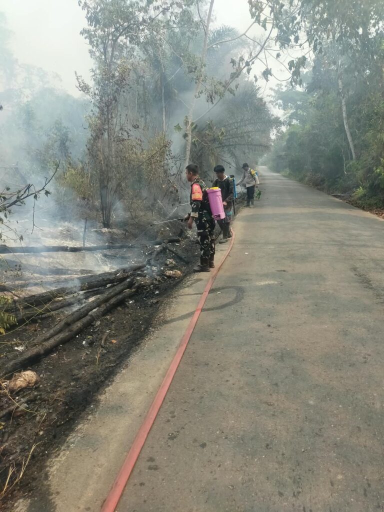 AKSI CEPAT POLSEK SUNGAI KERUH DAN GABUNGAN MENANGANANI KARHUTLA AKSI CEPAT POLSEK SUNGAI KERUH DAN GABUNGAN MENANGANANI KARHUTLA